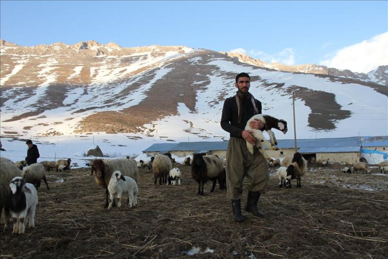 "Baharın habercileri'' galerisi resim 9