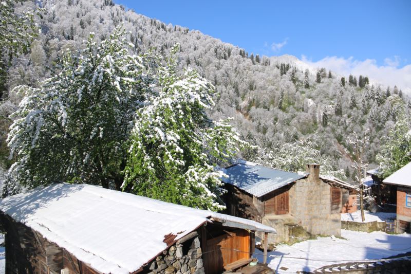 Ayder Yaylası'na bahar ayında kar yağdı galerisi resim 10