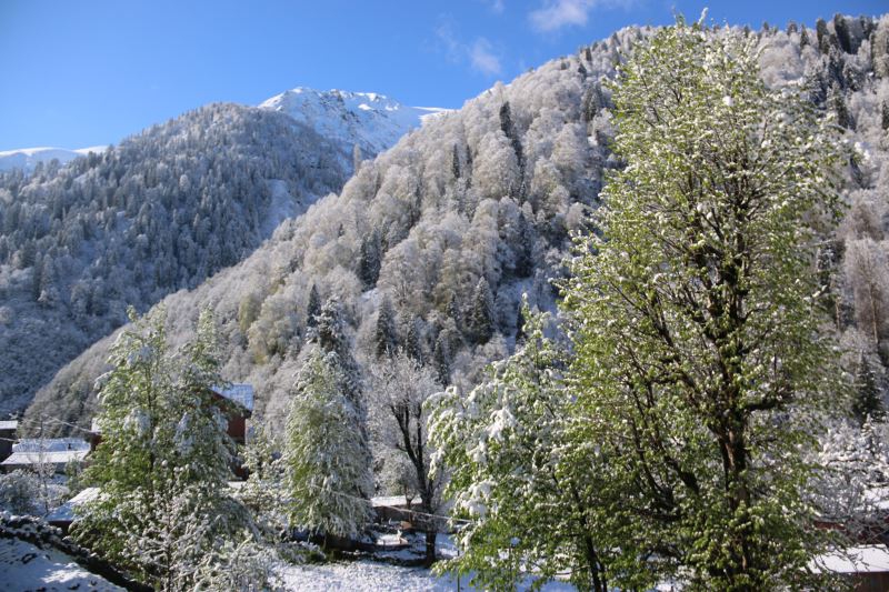 Ayder Yaylası'na bahar ayında kar yağdı galerisi resim 12