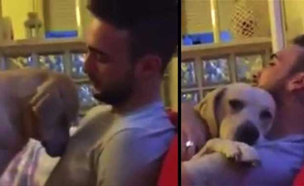 Köpeklerin sadakatinin kanıtı! galerisi resim 10