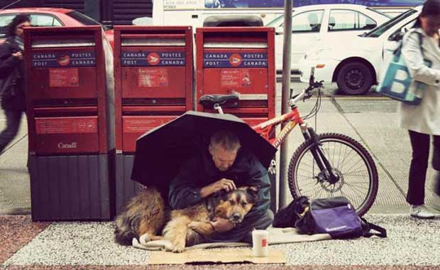 Köpeklerin sadakatinin kanıtı! galerisi resim 8