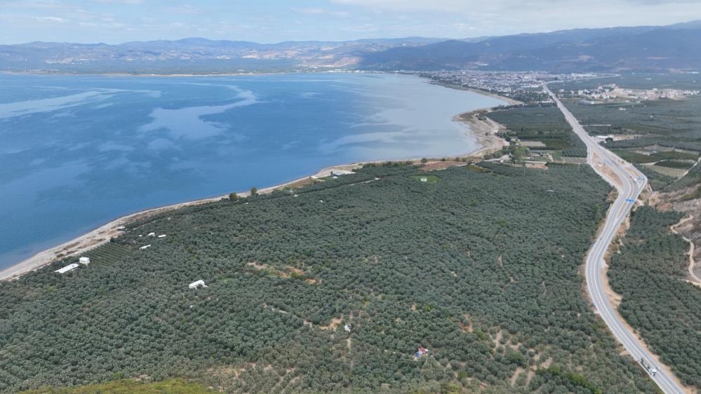 İznik Gölü yavaş yavaş ölüyor galerisi resim 3