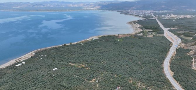 İznik Gölü yavaş yavaş ölüyor