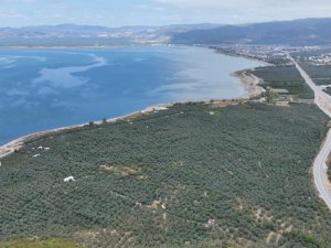 İznik Gölü yavaş yavaş ölüyor