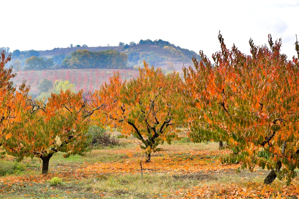 Bursa'dan büyüleyen fotoğraflar galerisi resim 6