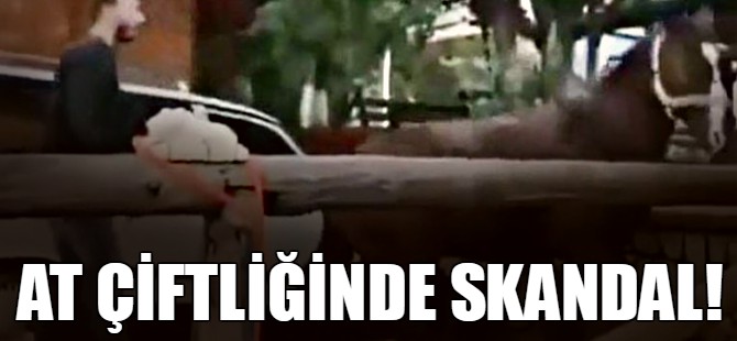 At çiftliğinde skandal!