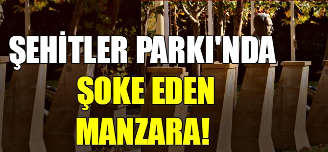 Şehitler Parkı'nda şoke eden manzara!