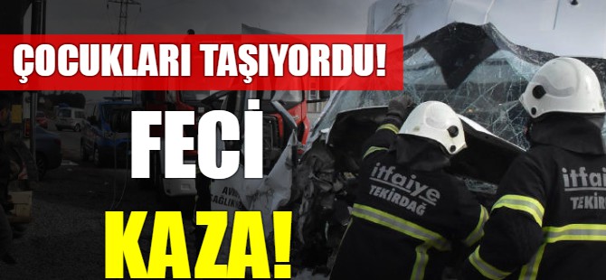 Feci kaza!
