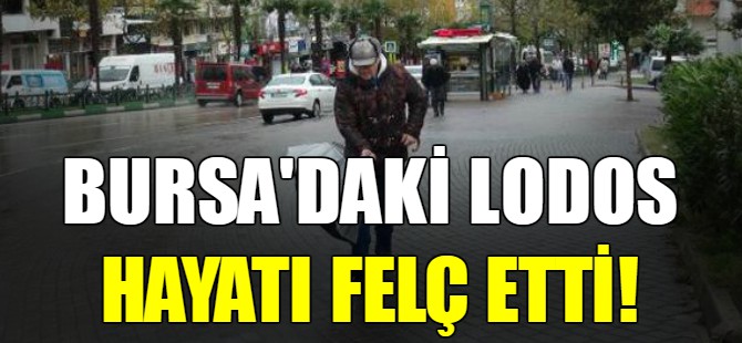 Bursa'daki lodos hayatı felç etti!