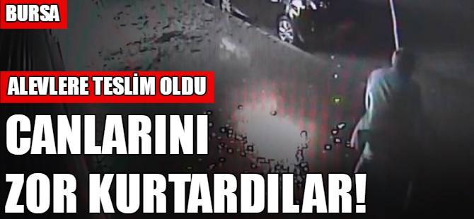 Canlarını zor kurtardılar!