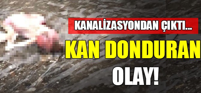 Kan donduran olay!