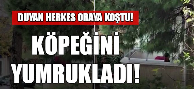 Duyan herkes oraya koştu!