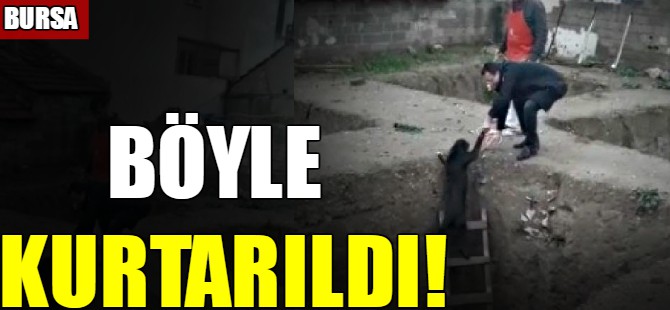 Böyle kurtarıldı!