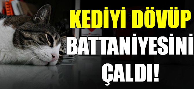 Kediyi dövüp battaniyesini çaldı!