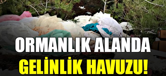 Ormanlık alanda gelinlik havuzu!