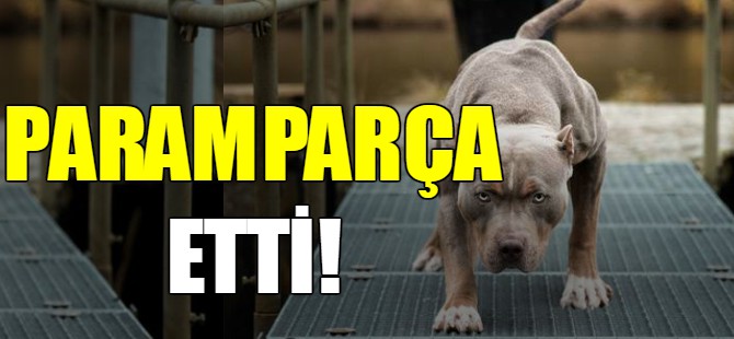Paramparça etti!