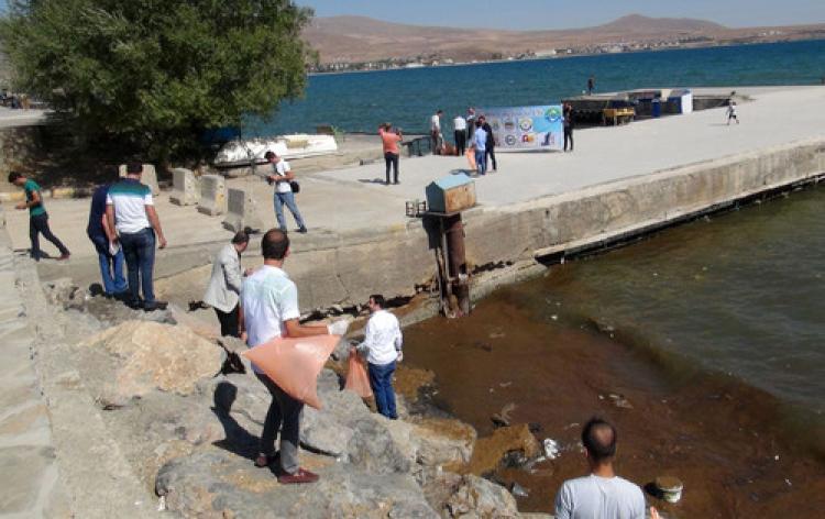 Van Gölü’nün Tatvan sahilinde temizlik yapıldı