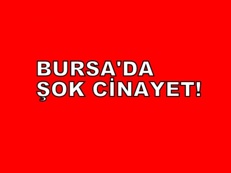 AK Parti yönetim kurulu üyesi...