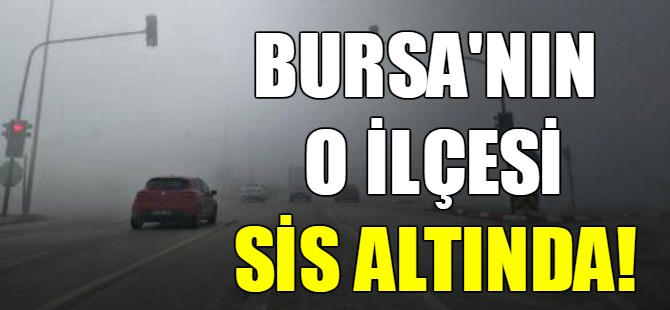 Bursa'nın o ilçesi sis altında!