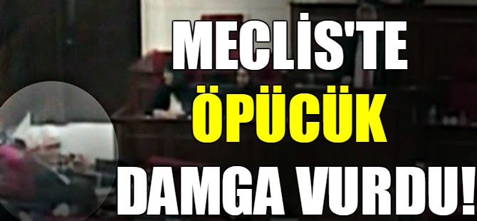 Meclis'te öpücük damgası!
