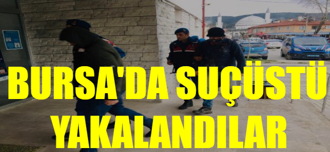 Bursa'da definecilere suçüstü