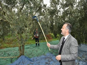 Başkan Aktaş'la hasat zamanı!