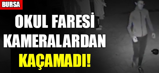 Okul faresi kameralardan kaçamadı!