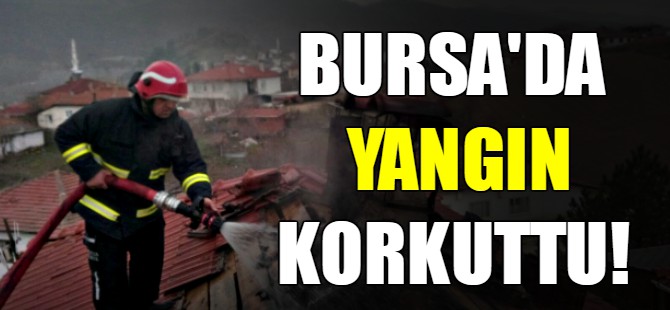 Bursa'da yangın korkuttu!