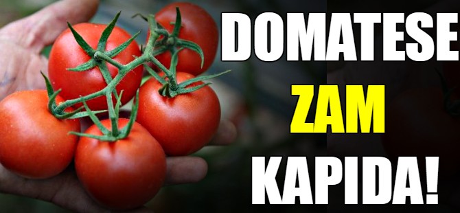 Domatese zam kapıda!
