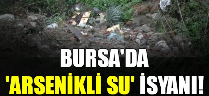 Bursa'da 'arsenikli su' isyanı!