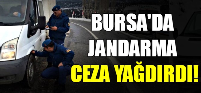 Bursa'da jandarma ceza yağdırdı!