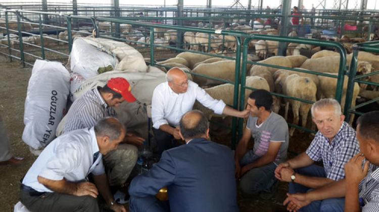 "Hükümet hayvancılıkta sadaka zihniyeti ile çalışıyor"