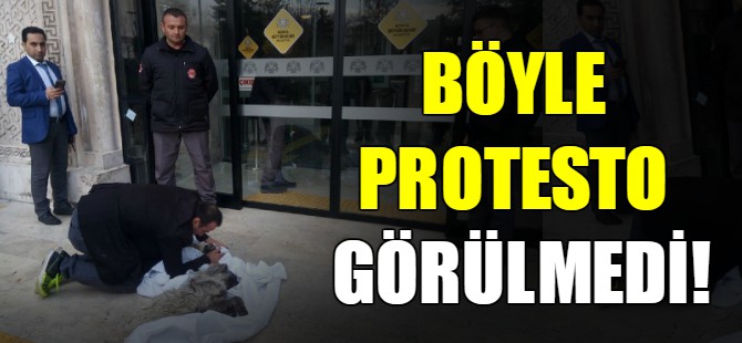 Böyle protesto görülmedi!