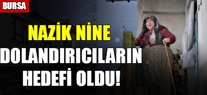Nazik nine dolandırıcıların hedefi oldu!
