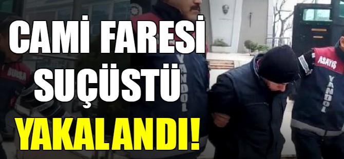 Cami faresi suçüstü yakalandı!