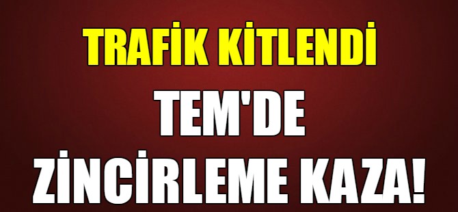 TEM'de zincirleme kaza!