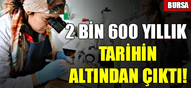 2 bin 600 yıllık tarihin altından çıktı!