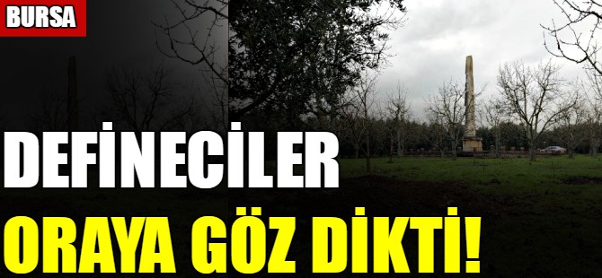 Defineciler oraya göz dikti!