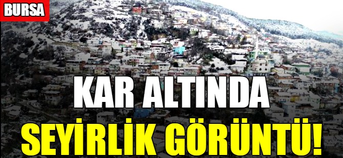 Kar altında seyirlik görüntü!