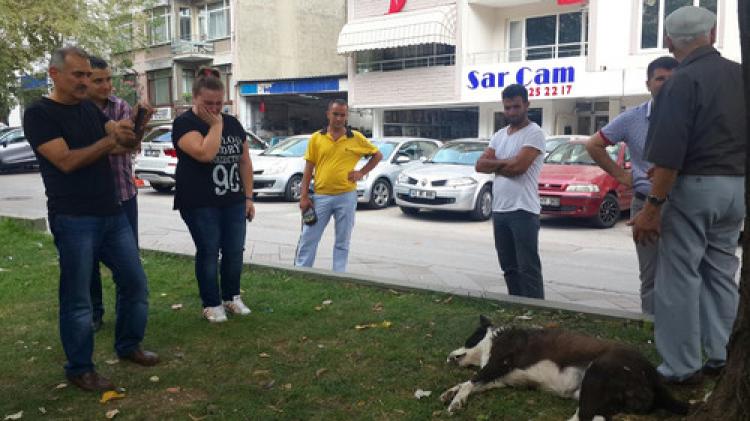 Karabaş öldü mahalleli gözyaşlarına hakim olamadı