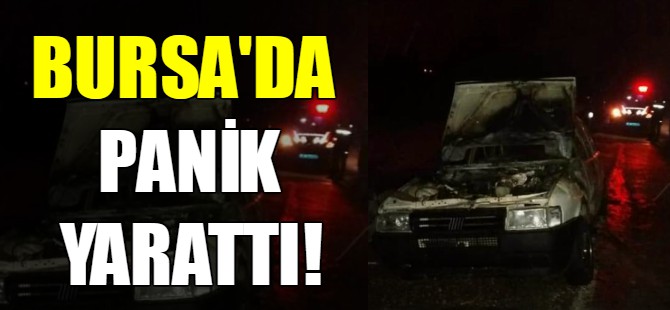 Bursa'da panik yarattı!