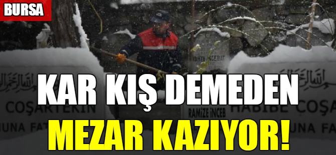 Kar kış demeden mezar kazıyor!