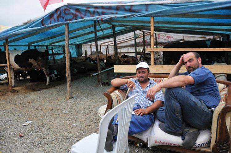 Küçbaş hayvan satıcıları umduğunu bulamadı