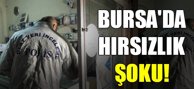 Bursa'da hırsızlık şoku!
