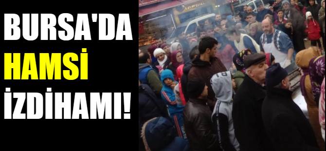 Bursa'da hamsi izdihamı!