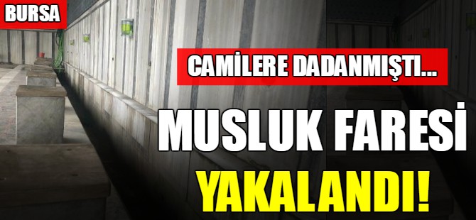 Musluk faresi yakalandı!