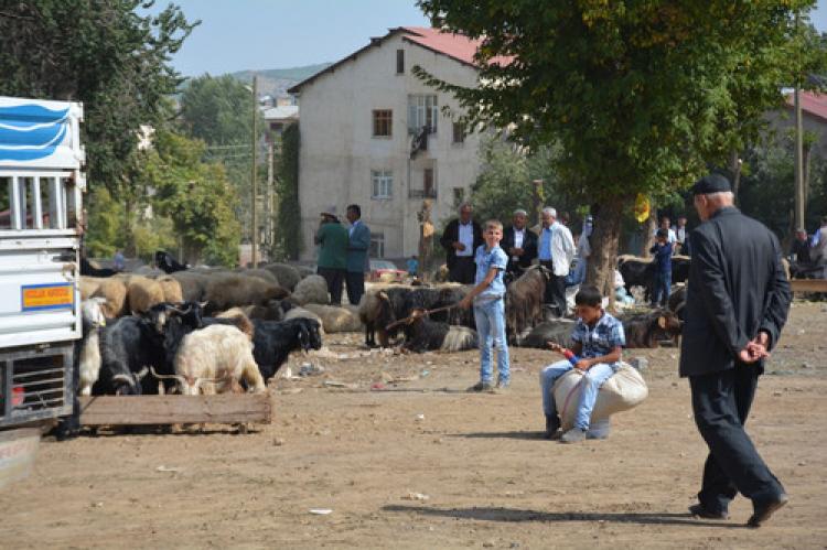 Bitlis’te kurbanlıklara rağbet yok