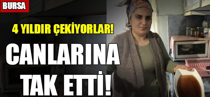 Canlarına tak etti!
