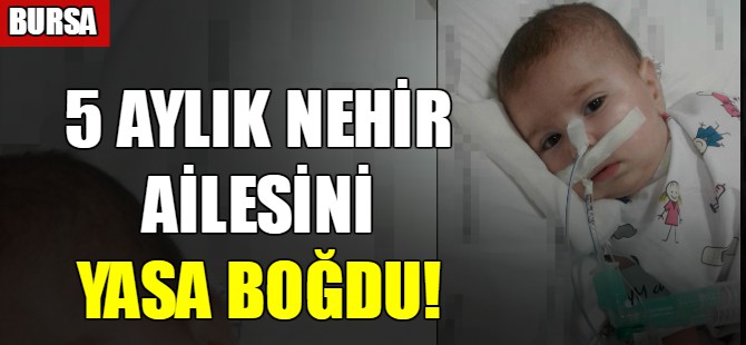 5 aylık Nehir ailesini yasa boğdu!