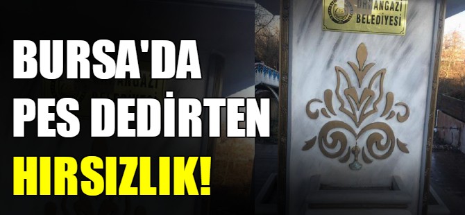 Bursa'da pes dedirten hırsızlık!
